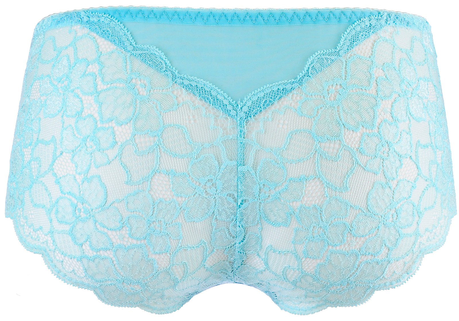Harper Brief Ice Blue