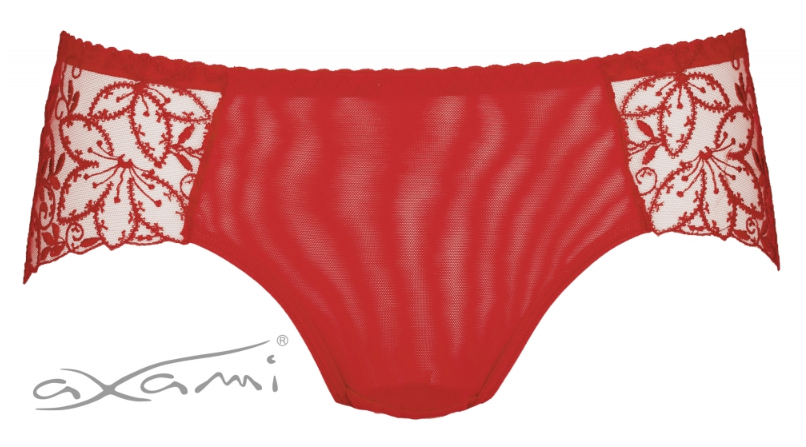 Vin Rouge Brief Red