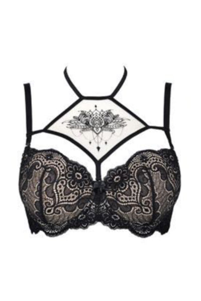 Tazmin Push Up Bra Black